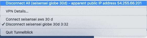 Screen Shot 2021-02-03 at 10.48.11 AM.webp