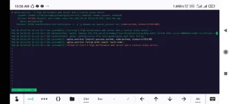 Screenshot_2021-02-04-10-56-23-154_com.server.auditor.ssh.client.webp