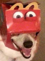 happy meal.webp