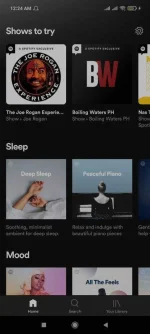 Screenshot_2021-02-05-00-24-30-628_com.spotify.music.webp