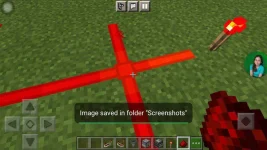 Screenshot_20210205-134735_Minecraft.webp