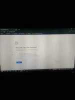 16125225224486919485359200407383.webp