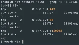 1pic.webp 1pic.webp