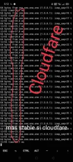 IMG_20210207_171529.webp