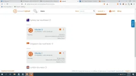 1612765831975.webp