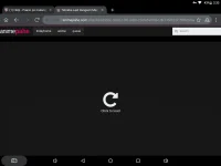 Screenshot_20210209-023325.webp