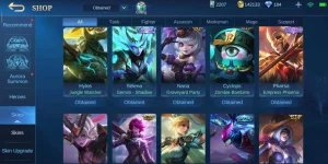 Screenshot_2021-02-09-10-46-07-305_com.mobile.legends.webp