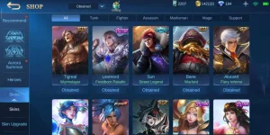 Screenshot_2021-02-09-10-45-35-578_com.mobile.legends.webp