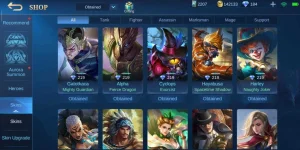 Screenshot_2021-02-09-10-47-40-917_com.mobile.legends.webp