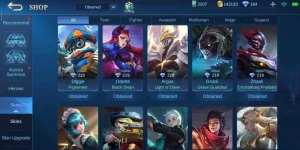 Screenshot_2021-02-09-10-47-28-438_com.mobile.legends.webp