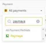 p2ppaymaya.webp