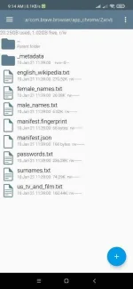 Screenshot_2021-02-10-09-14-33-838_com.speedsoftware.rootexplorer.webp