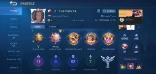 Screenshot_20210210-161110_Mobile Legends Bang Bang.webp