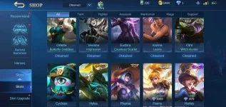 Screenshot_20210210-161156_Mobile Legends Bang Bang.webp