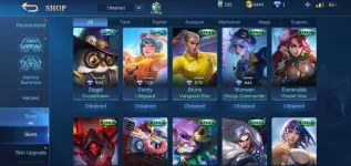 Screenshot_20210210-161202_Mobile Legends Bang Bang.webp