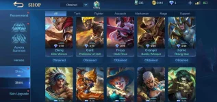 Screenshot_20210210-161209_Mobile Legends Bang Bang.webp