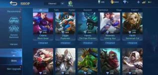Screenshot_20210210-161214_Mobile Legends Bang Bang.webp