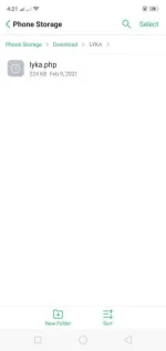 Screenshot_2021-02-11-16-21-28-05.webp