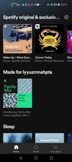 Screenshot_20210212_021729_com.spotify.music.webp