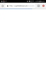 Screenshot_20210212-062107.webp