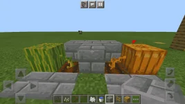 Minecraft_2021-02-12-10-09-40.webp