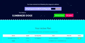 doge per day.webp doge per day.webp