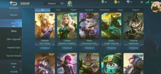 Screenshot_20210209-111527_Mobile Legends Bang Bang.webp