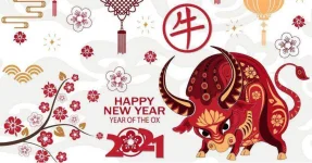 cny2021-1024x536.jpg