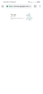Screenshot_2021-02-13-01-03-58-767_com.kiwibrowser.browser.webp