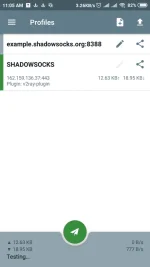 Screenshot_2021-02-13-11-05-47-794_com.github.shadowsocks.webp