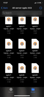 11B72251-A9DF-4AC8-9E81-49DCD65FD9DB.webp