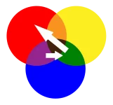 colors.webp