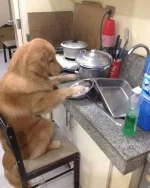 FB_IMG_16130497634508367.webp