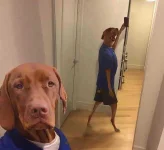selfie muna bago itakbo ang damit.webp