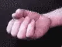 1612753560407.webp