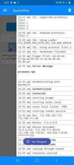 Screenshot_20210217-065509_SocksHttp.webp