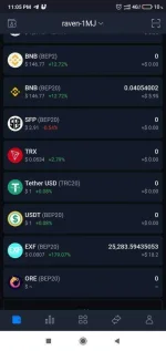 Screenshot_2021-02-17-23-05-04-425_io.safepal.wallet.jpg