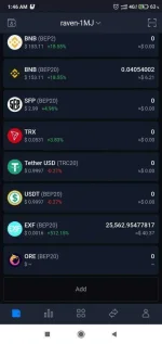 Screenshot_2021-02-18-01-46-35-647_io.safepal.wallet.jpg