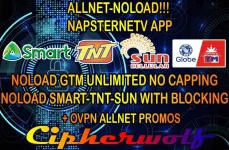 ALLNETNOLOAD.jpg