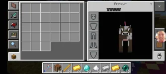 Screenshot_2021-02-18-10-48-49-281_com.mojang.minecraftpe.webp Screenshot_2021-02-18-10-48-49-281_com.mojang.minecraftpe.webp