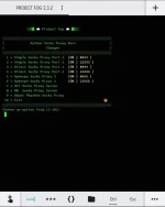 Screenshot_20210218-152809_Termius.webp