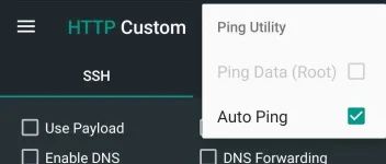 Screenshot_20210219-133449_HTTP Custom.webp