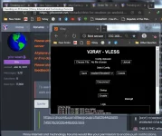 ss1.webp