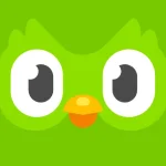 Duolingo.webp Duolingo.webp