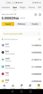 Screenshot_20210220_185647_com.binance.dev.webp