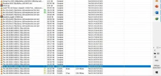 dl.webp