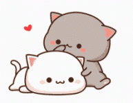 tenor (1).gif tenor (1).gif