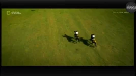 Screenshot_20210220_122006.webp