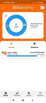 Screenshot_2021-02-21-12-50-20-921_org.bantufoundation.bantupay_wallet.BantuPay.webp
