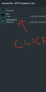 Screenshot_20210222-024457_HTTP Custom.webp